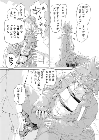 JC463-06