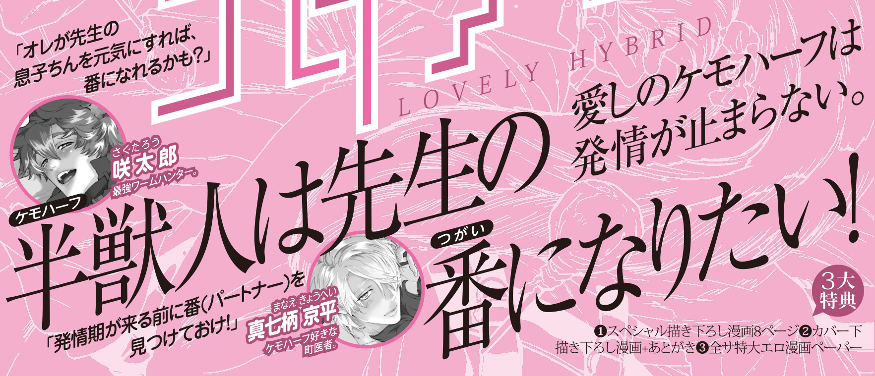 帯画像