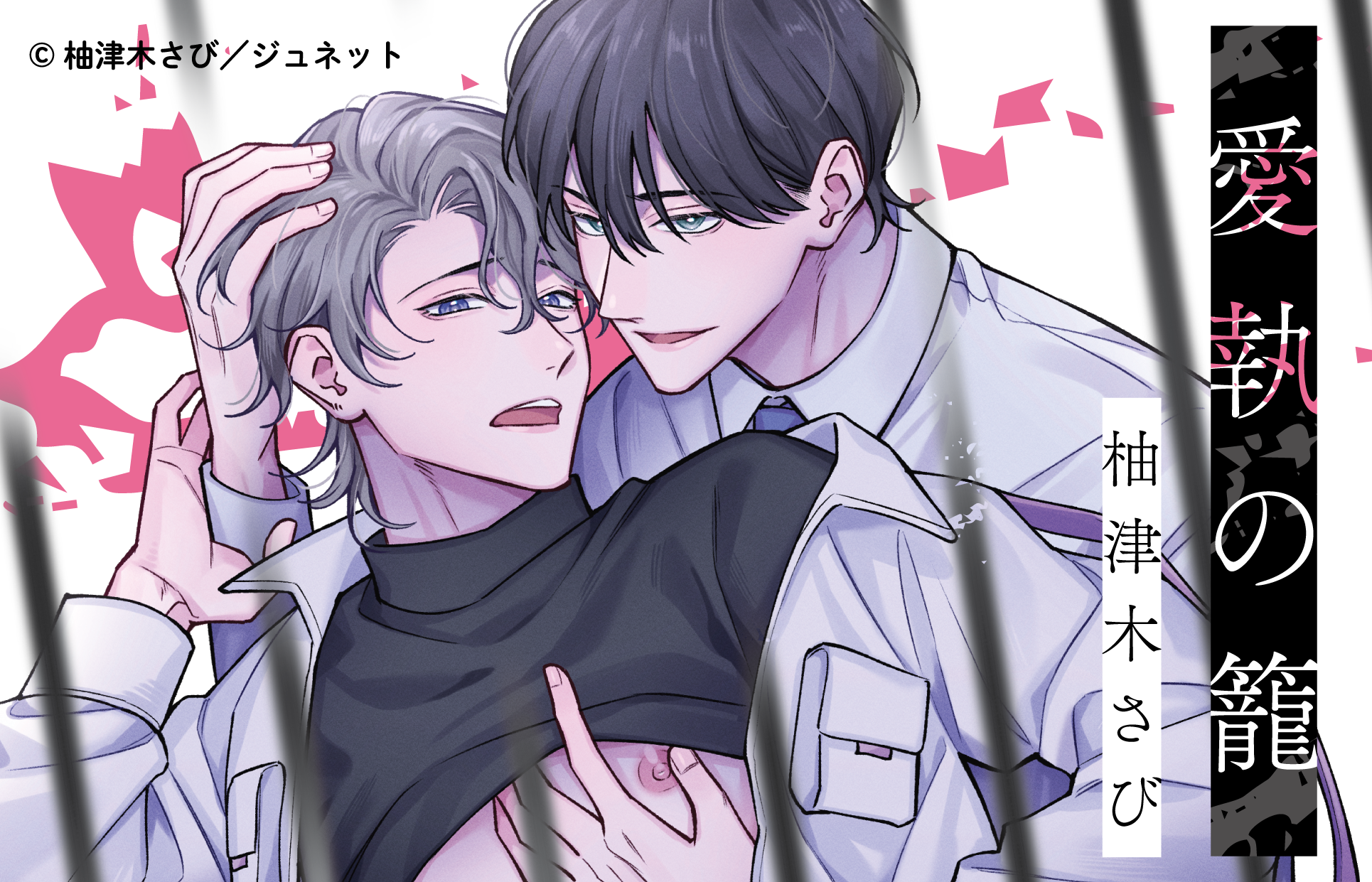 スペシャルコンテンツ