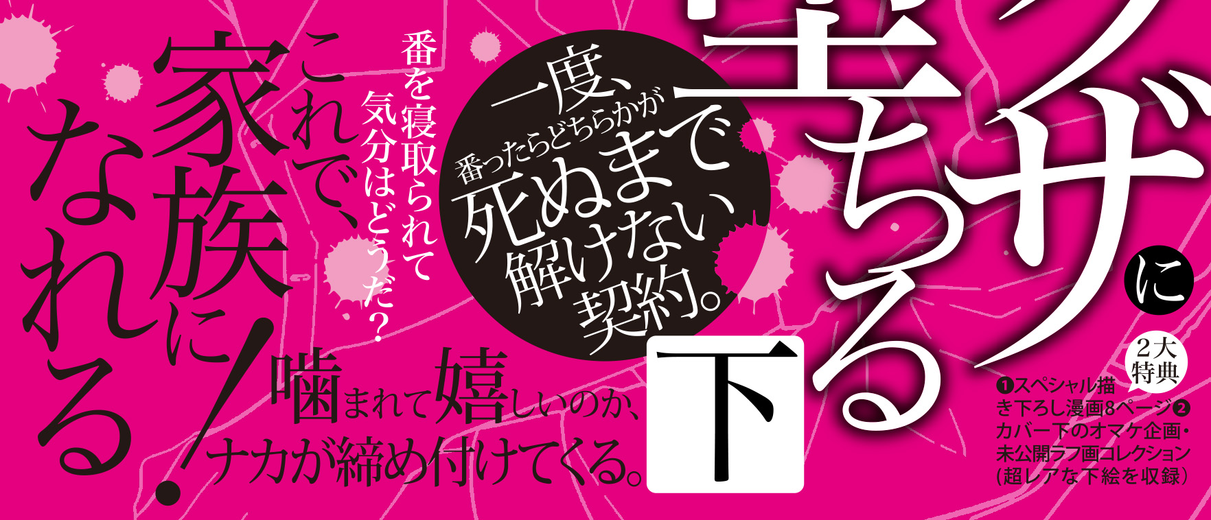 帯画像