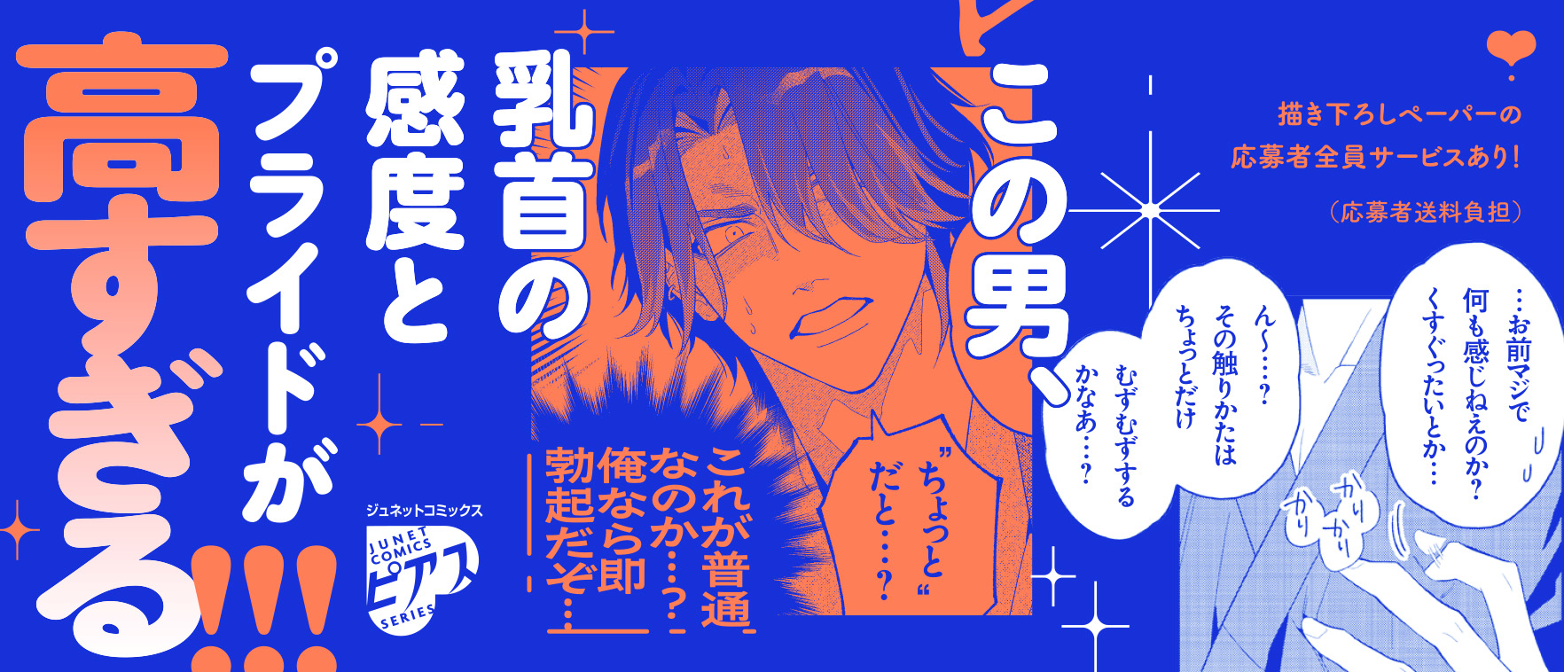 帯画像